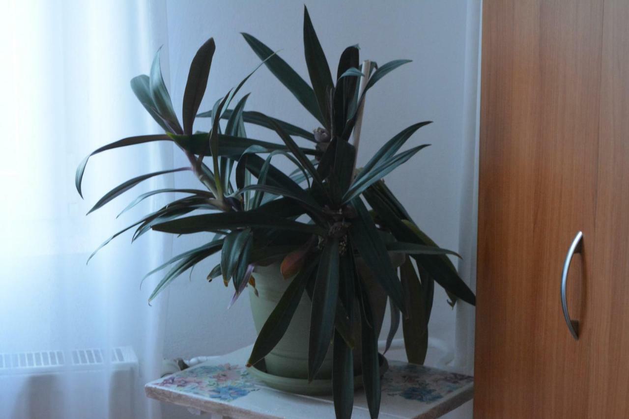 M@D Apartment Timişoara Eksteriør billede